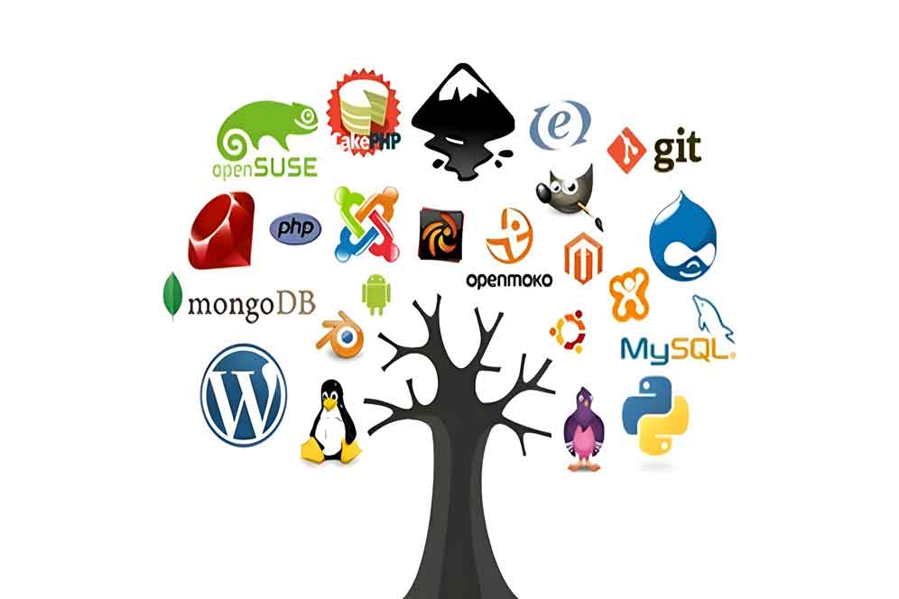Understanding Open Source Software